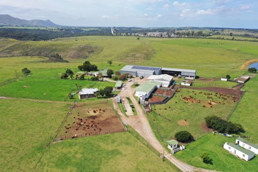 3 Bedroom Property for Sale in Thornhill Eastern Cape